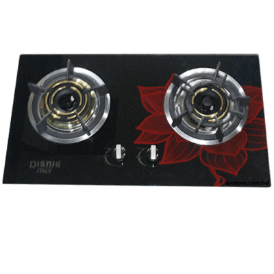 Disnie Gas Stove- 2 Burner Best Price Glass Gas Stove