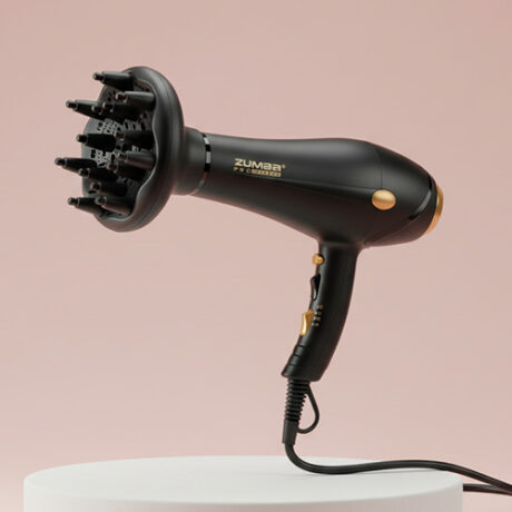Zumba Pro Extreme ZM-9911 Professional Hair Dryer Price